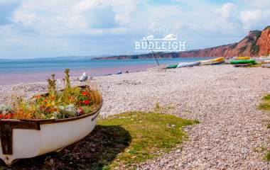 view of budleigh beach with boat used as planter for floral display