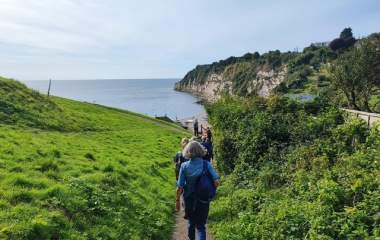 A group of hikers walks down a path through lush greenery toward a serene coastal view with cliffs, under a clear blue sky, evoking a sense of tranquillity.