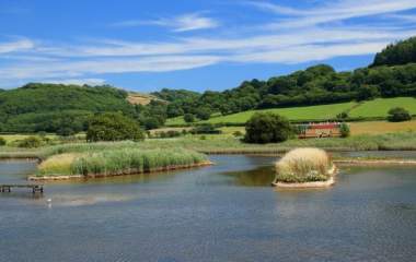 seaton wetlands