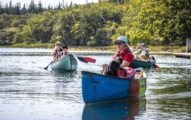 Dog in canoe with New Forest Activities