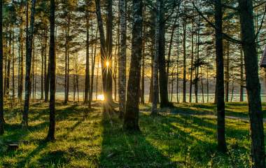 Skog Raet nasjonalpark