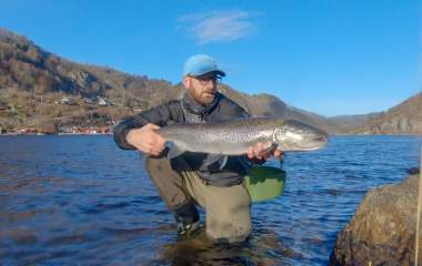 A big sea trout in Lenefjorden, Lyngdal