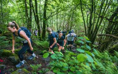 mennesker som går i rekke opp en skog