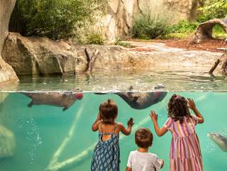 Discover the History of the Fort Wayne Zoo