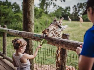 The Fort Wayne Zoo in Autumn