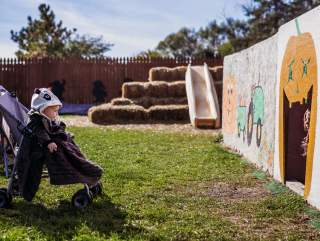 Enjoy an Autumn Day at Hilger's Family Farm