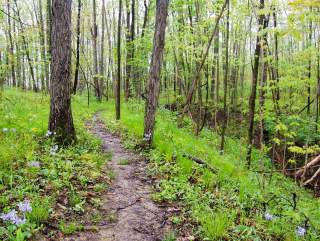 Take a Hike in Fort Wayne