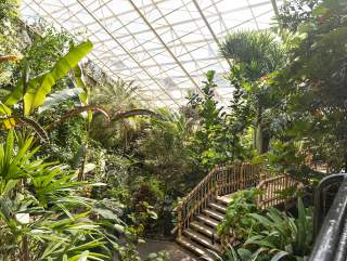 Explore the Botanical Conservatory