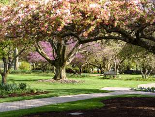 Take in the beauty of Foster Park this Spring