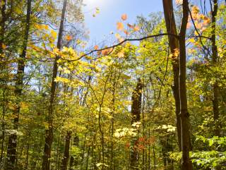 ACRES Land Trust: Enjoy Nature in Pure Form