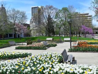Fort Wayne in Bloom This Spring