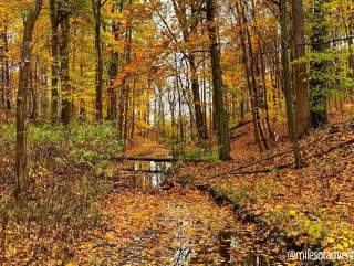 Fort Wayne, Indiana's Best Fall Trails