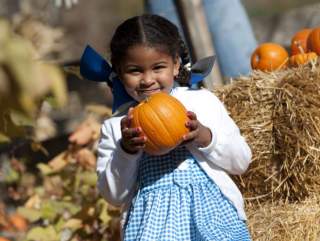 A Spooktacular Halloween in Fort Wayne