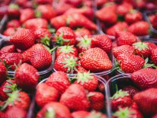 Schmucker’s Produce Farm: a Touch of Amish Quality