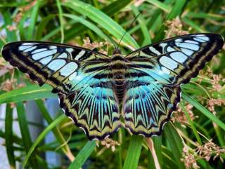 Best Events in Fort Wayne, Indiana this May