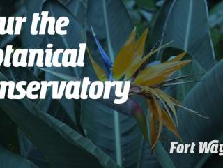Tour Fort Wayne, Indiana's Botanical Conservatory