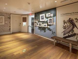 "A Vanishing Bounty: Louisiana’s Coastal Environment and Culture"