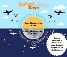 safari saver days