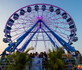 Great Louisiana Fair