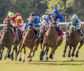 Opening Day Louisiana Downs 2025 Thoroughbred Race Meet