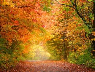 When and Where to View the Best Fall Foliage in PA