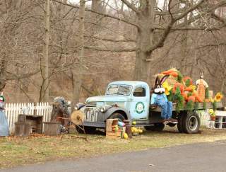 A vintage truck with an Easter bunny and large, fake carrots on the bed of the truck