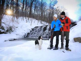 A man and a woman in winter attire snowshoeing with a dog accompanying them