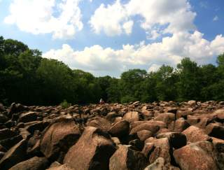 A field of rocks