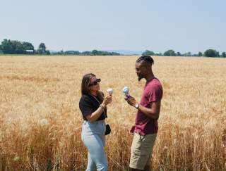 Two people eating ice cream cones in a field with tall grass