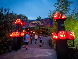 Kids walking through an entryway with glowing pumpkins framing the sides. The sign above reads Jack O Lantern Extravaganza Trail