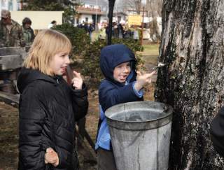 Maple Experiences and Festivals in PA to Sweeten Your Spring