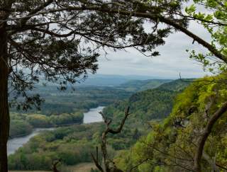 A scenic overlook of a river flowing through a forest