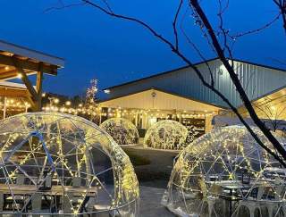 Pennsylvania's Best Winter Outdoor Dining Experiences