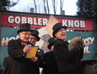 Punxsutawney Visitors Guide