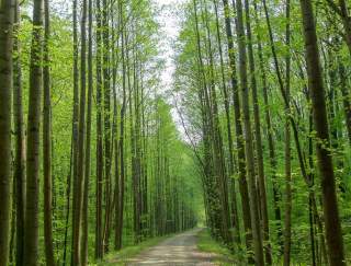 Top Spring Activities in PA State Parks