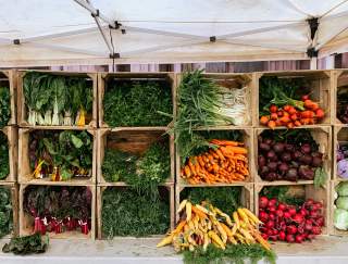 Produce in storage cubes at a farmers market stand