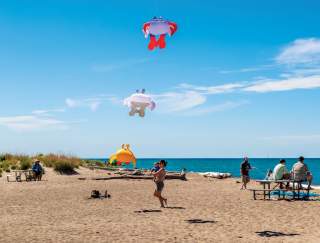 Kids and adults on a beach flying kites on a sunny day