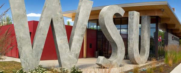 WSU visitor center