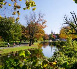 Top Places For Fall Foliage in Frederick County, MD