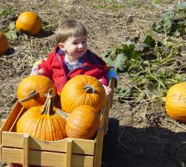 Gaver Farm