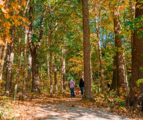 Cozy Weekend in Etown