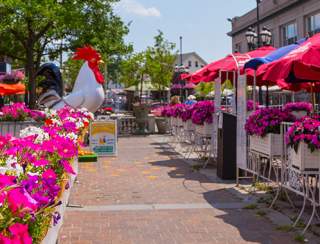 Federal Hill Blog Header