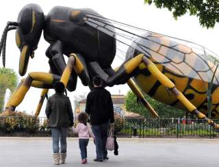 A Bug’s World Sensory-friendly Mornings