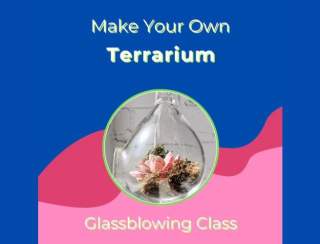 Make Your Own Terrarium - March