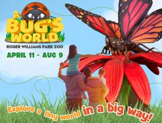 A Bug's World at Roger Williams Park Zoo