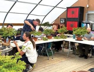 Bonsai Essentials 1:  Beginner Workshop with Peter Olson