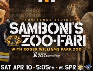 Providence Bruins vs. Springfield Thunderbirds - Samboni's Zoo-Fari