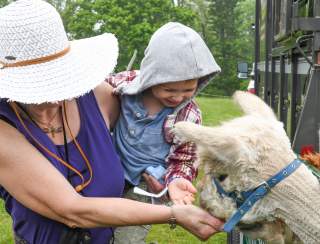 Sheep & Wool Festival