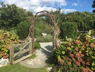 September 2025 Secret Garden Tour "Bellevue & Beyond"