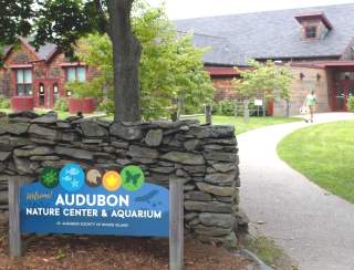 Audubon Society of Rhode Island - Bristol